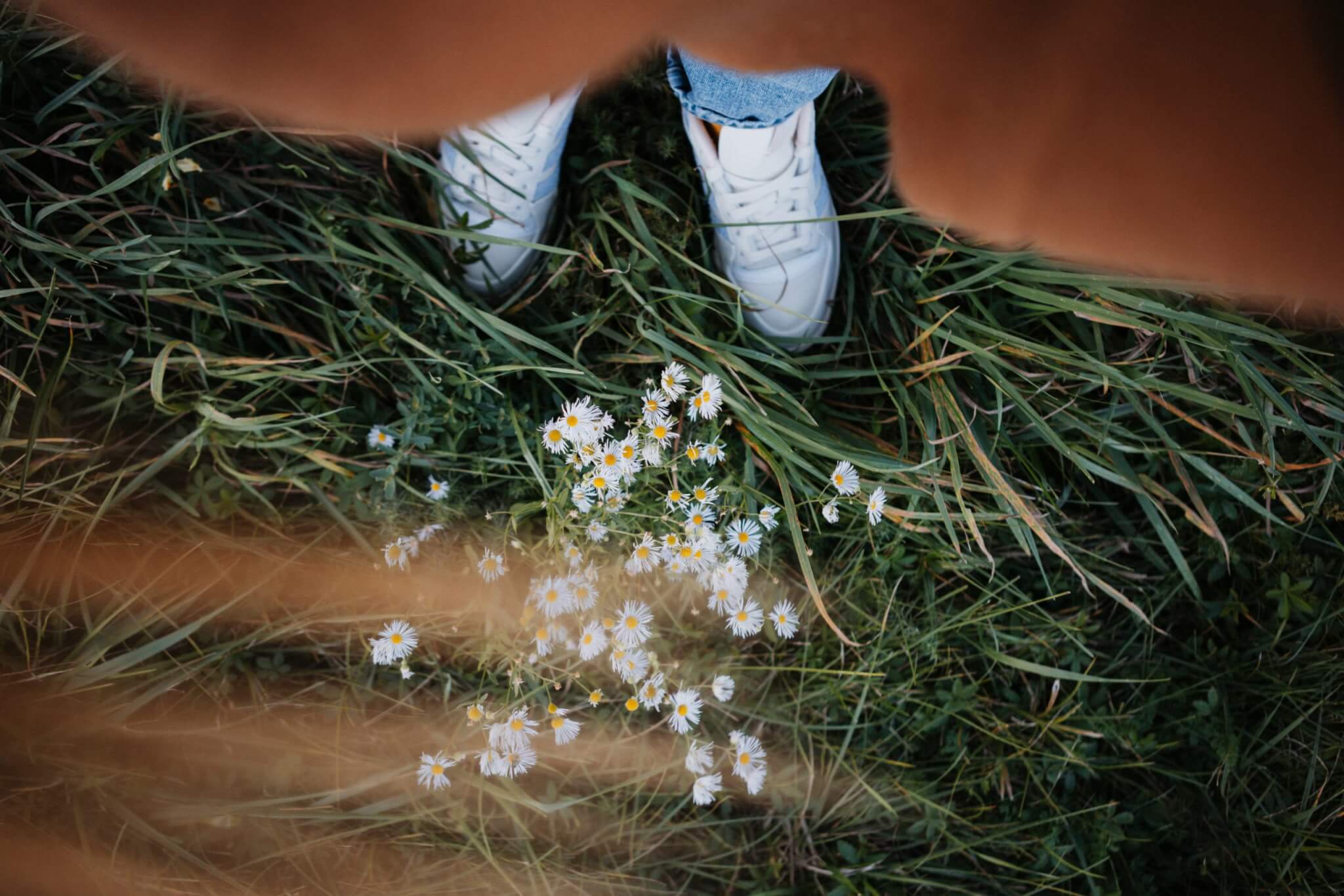 les pieds dans l'herbe